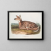 Hert van Virginie, kalf, natuurlijke grootte - John Woodhouse Audubon — ingelijst kunstwerk aan de muur