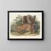 Jaguar vrouwtje - John Woodhouse Audubon — ingelijst kunstwerk aan de muur