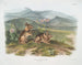 Lièvre de Nuttall mâle taille naturelle - John Woodhouse Audubon — weergave van het kunstwerk