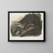 van de Canadese Otter op ware grootte man - John Woodhouse Audubon — ingelijst kunstwerk aan de muur