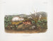 van de Hudsonbaai Lemming op ware grootte - John Woodhouse Audubon — weergave van het kunstwerk