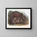 Grizzly Beer - John Woodhouse Audubon — ingelijst kunstwerk aan de muur