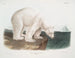 Beer Poolhond man - John Woodhouse Audubon — weergave van het kunstwerk
