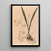 Iconography of the orchids of Brazil Pl11 - João Barbosa Rodrigues — framed artwork on a wall