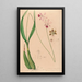 Iconography of Brazilian orchids Pl13 - João Barbosa Rodrigues — framed artwork on a wall