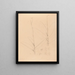 Iconography of Brazilian orchids Pl25 - João Barbosa Rodrigues — framed artwork on a wall