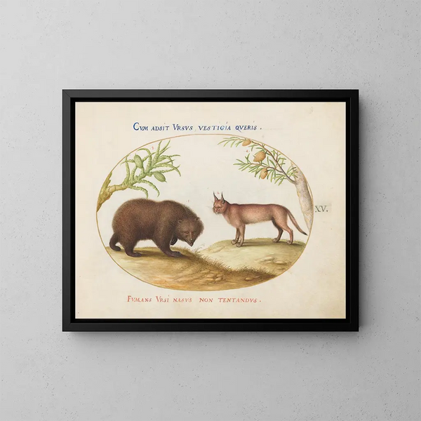 A bear and a lynx - Joris Hoefnagel — framed artwork on a wall