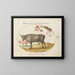 van een stier en een hoornachtig dier - Joris Hoefnagel — ingelijst kunstwerk aan de muur