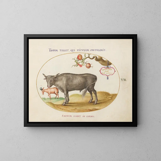 Joris Hoefnagel - A Bull and a Horned Animal.webp