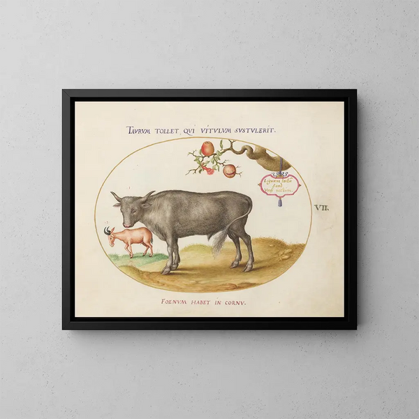a Bull and a Horned Animal - Joris Hoefnagel — framed artwork on a wall
