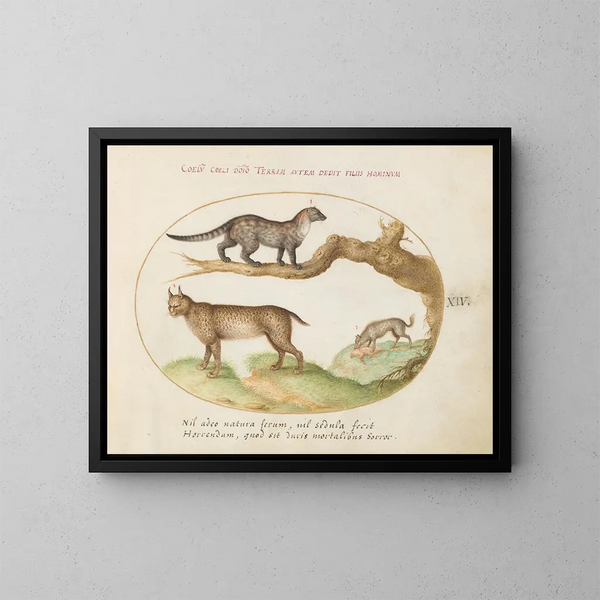 a civet, a lynx, and a hyena eating a dog - Joris Hoefnagel — framed artwork on a wall