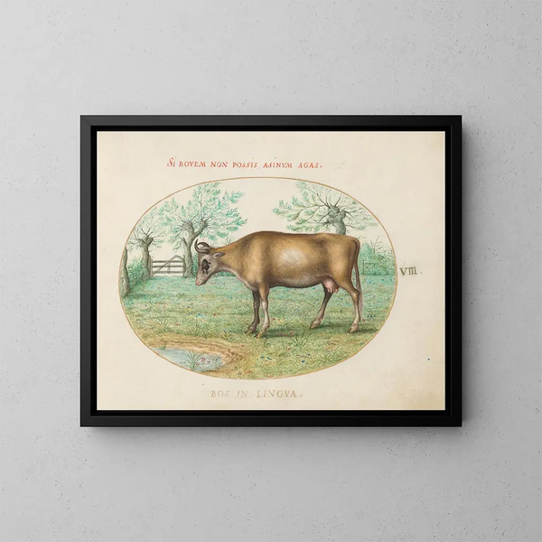 A Cow - Joris Hoefnagel — framed artwork on a wall
