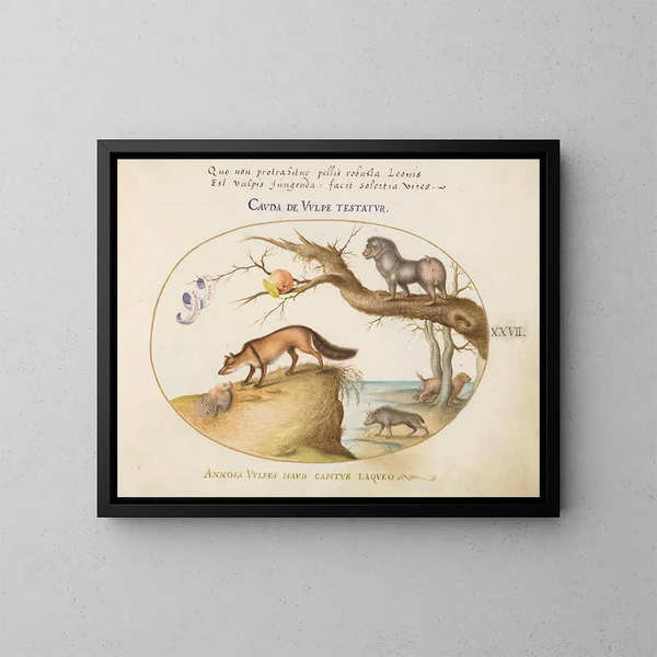 a painting featuring a fox, a hyena, a baboon, a sea wolf, and a glutton - Joris Hoefnagel — framed artwork on a wall