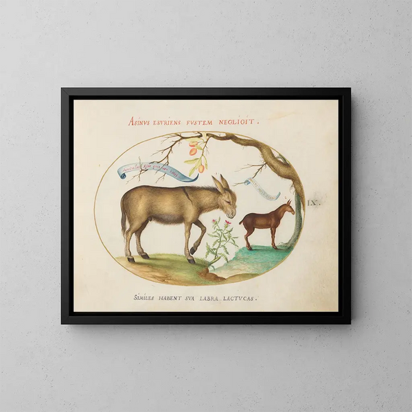 An Ass and a Mule - Joris Hoefnagel — framed artwork on a wall