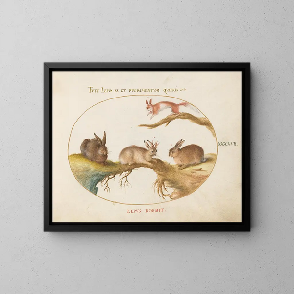 a hare, a jackalope, a rabbit, and a spotted squirrel - Joris Hoefnagel — framed artwork on a wall