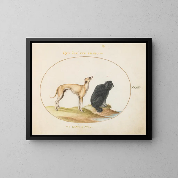 a hunting dog and a water spaniel - Joris Hoefnagel — framed artwork on a wall
