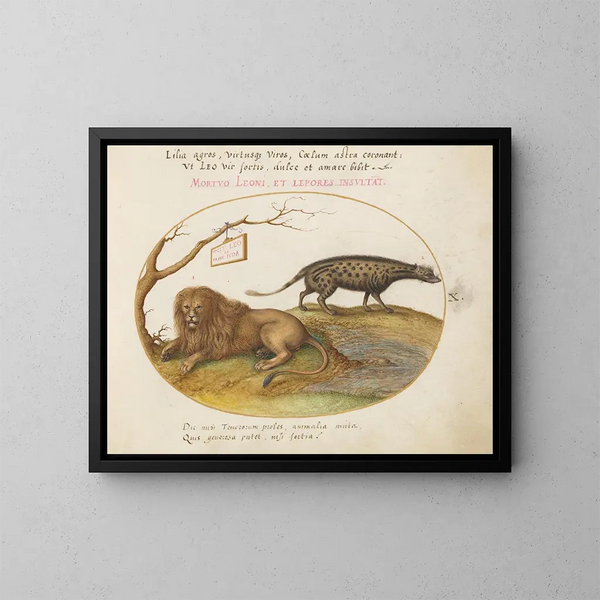 a lion and a civet - Joris Hoefnagel — framed artwork on a wall