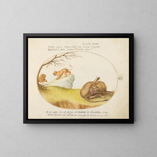 a lioness with two lions in the background - Joris Hoefnagel — framed artwork on a wall