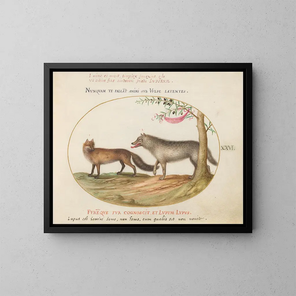 A red fox and a wolf - Joris Hoefnagel — framed artwork on a wall