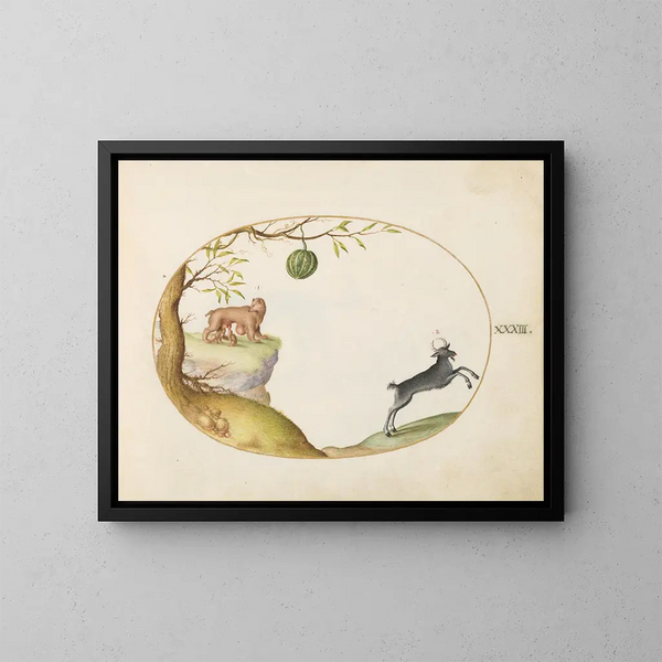 a opossum simivulpa and an ibex - Joris Hoefnagel — framed artwork on a wall