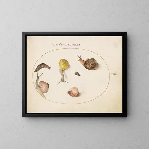 a slug with snails - Joris Hoefnagel — framed artwork on a wall