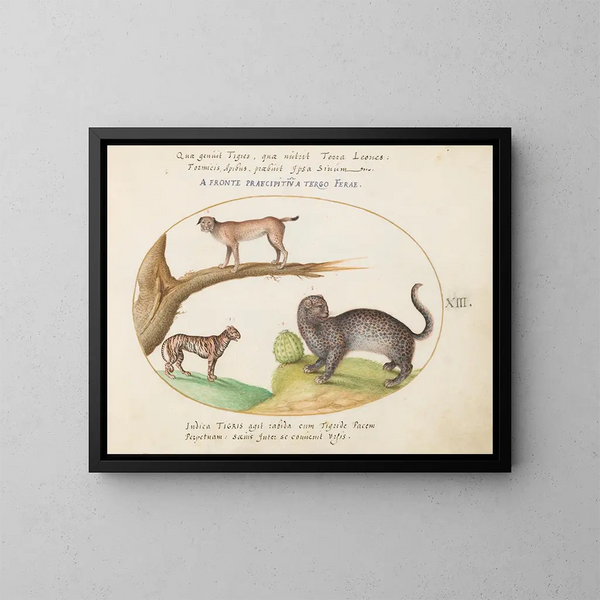 a tiger, a lynx, and a jaguar - Joris Hoefnagel — framed artwork on a wall