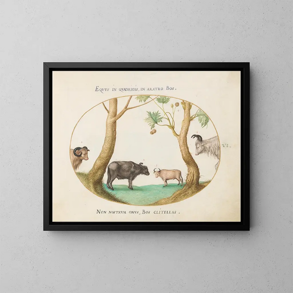 A variety of oxen with a ram and an water buffalo near a plane tree - Joris Hoefnagel — framed artwork on a wall