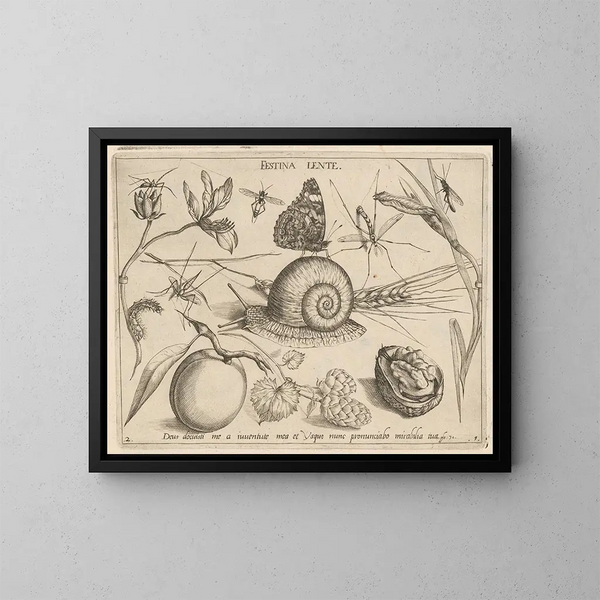 Archetypes and studies of Father Georgius Hoefnagel - Joris Hoefnagel — framed artwork on a wall