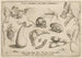 Archetypa Studiaque Patris Georgii Hoefnagelii Pl06 - Joris Hoefnagel — weergave van het kunstwerk