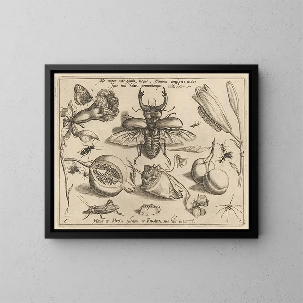 Archetypes en studies van vader Georgius Hoefnagel - Joris Hoefnagel — ingelijst kunstwerk aan de muur