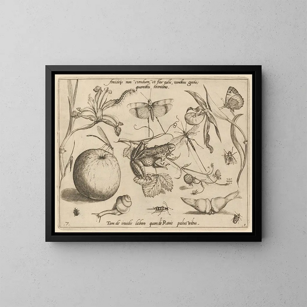 Archetypes en studies van vader Georgius Hoefnagel - Joris Hoefnagel — ingelijst kunstwerk aan de muur