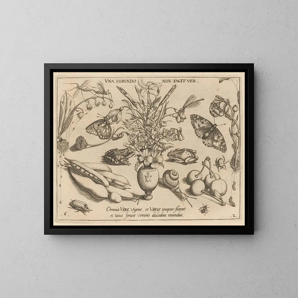 Archetypes en studies van vader Georgius Hoefnagel - Joris Hoefnagel — ingelijst kunstwerk aan de muur