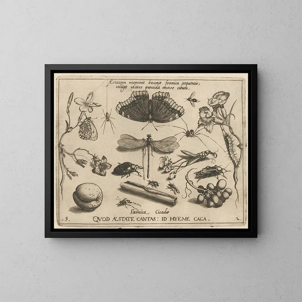 Archetypes en studies van vader Georgius Hoefnagel Pl24 - Joris Hoefnagel — ingelijst kunstwerk aan de muur
