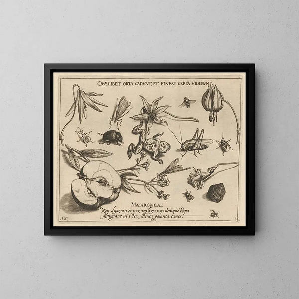 van Archétypes et études du père Georgius Hoefnagel Pl27 - Joris Hoefnagel — ingelijst kunstwerk aan de muur