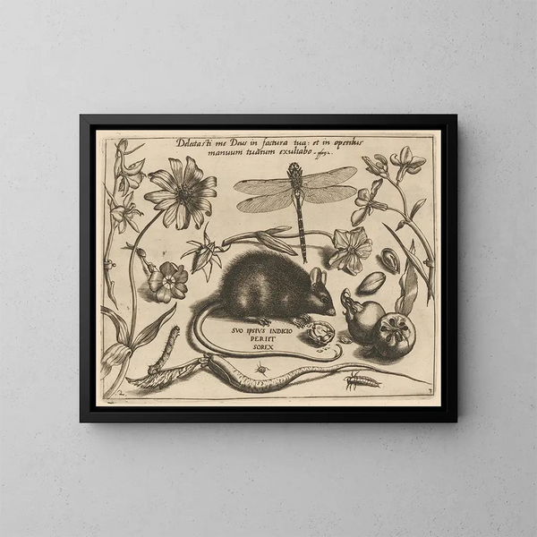 van Archétypes et études du père Georgius Hoefnagel - Joris Hoefnagel — ingelijst kunstwerk aan de muur