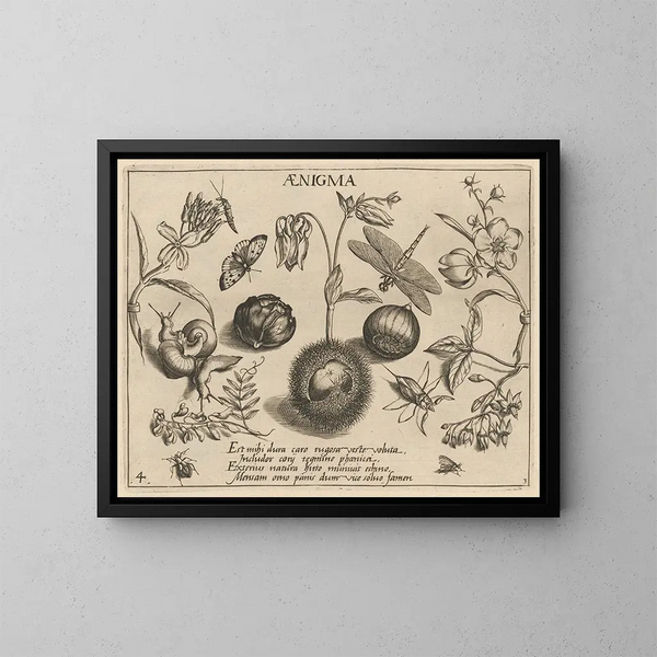 Archetypes en studies van vader Georgius Hoefnagel - Joris Hoefnagel — ingelijst kunstwerk aan de muur