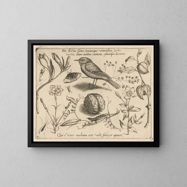 Archétypes et études du père Georgius Hoefnagel Pl41 - Joris Hoefnagel — framed artwork on a wall