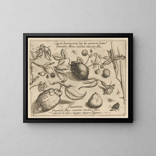 Archétypes et études du père Georgius Hoefnagel Pl43 - Joris Hoefnagel — framed artwork on a wall