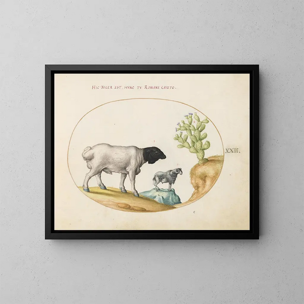 Persian sheep with black heads and a long-tailed sheep with a cactus - Joris Hoefnagel — framed artwork on a wall
