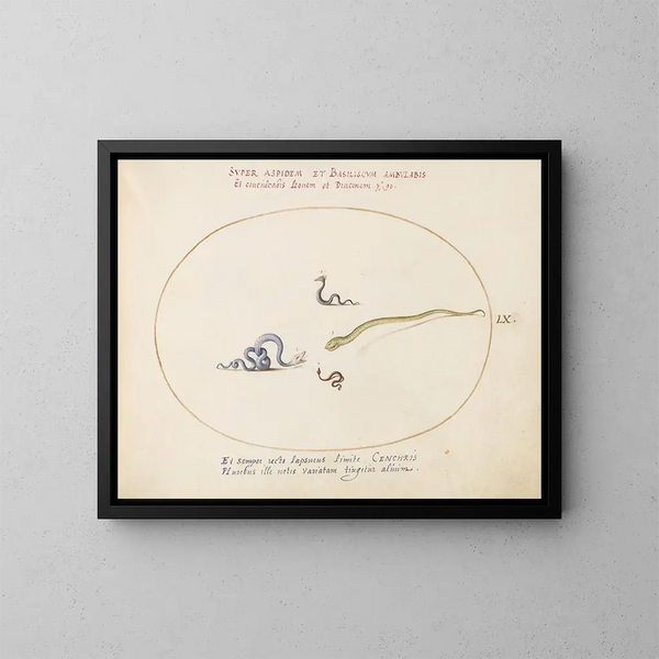 Quatre petits serpents - Joris Hoefnagel — framed artwork on a wall