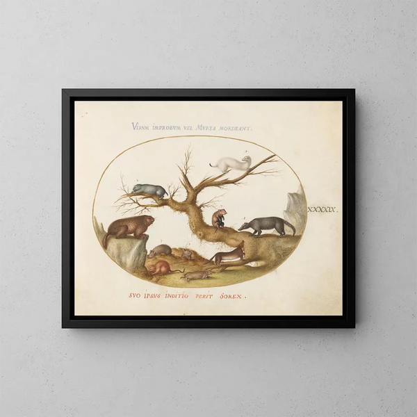 Marmot, hamsters, rat, field mice, shrew and a coati - Joris Hoefnagel — framed artwork on a wall