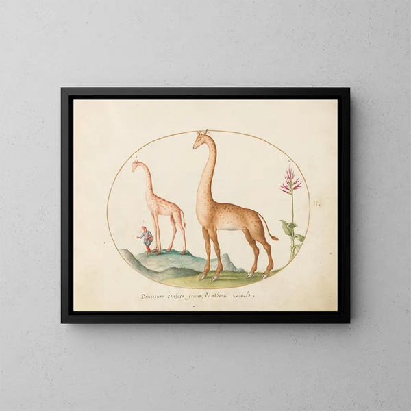 Planche 02 Two giraffes with an escort - Joris Hoefnagel — framed artwork on a wall