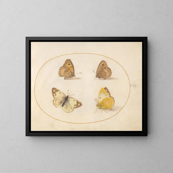 Plaque 09 Butterflies Meadow Brown, Gatekeeper, Clouded Yellow and Bath White - Joris Hoefnagel — framed artwork on a wall