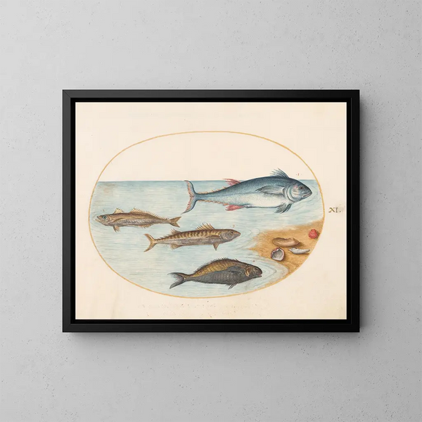 Planche 11 Quatre poissons et coquillages - Joris Hoefnagel — framed artwork on a wall