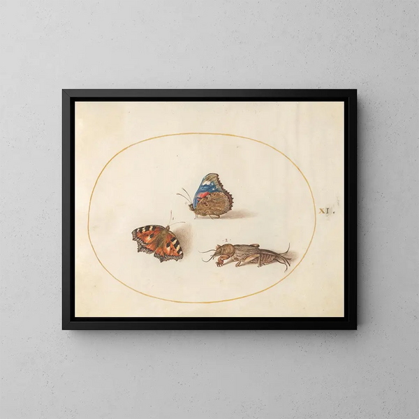 Planche 11 of butterflies, small turtle, and red admiral with a taupe cricket - Joris Hoefnagel — framed artwork on a wall