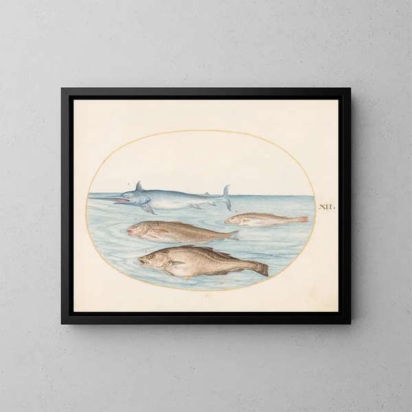 Plate 12 A swordfish and three other fish - Joris Hoefnagel — framed artwork on a wall