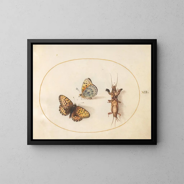 Platine 12 Two views of a fritillary with a silver edge and a taupe cricket - Joris Hoefnagel — framed artwork on a wall