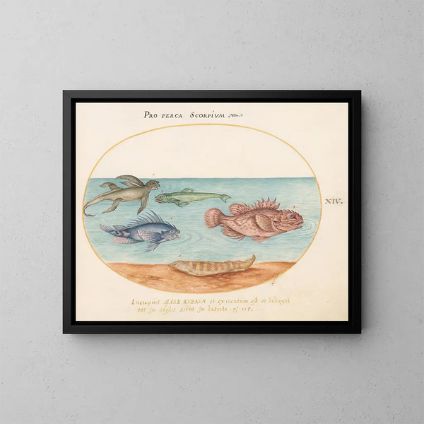 Platinum Painting 14 A sea monkey, two scorpion fish, and two other fish - Joris Hoefnagel — framed artwork on a wall