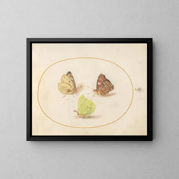 Plate 14: Common Lemon Butterflies, Painted Lady, and Veiled Yellow - Joris Hoefnagel — framed artwork on a wall