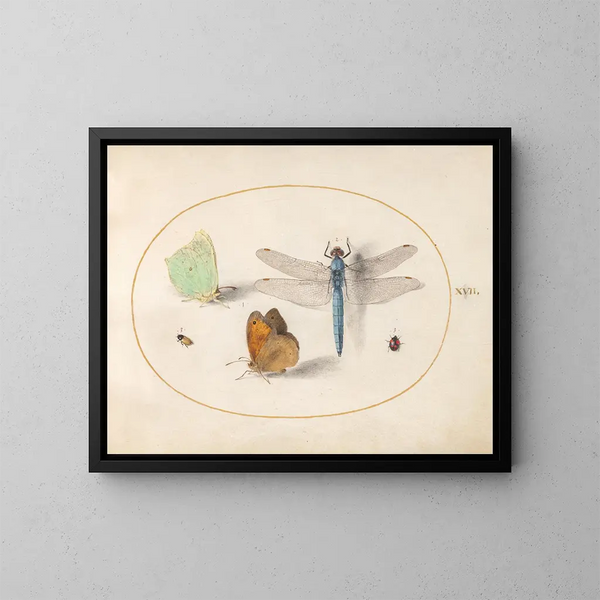 Plate 17: Sulfur and prairie butterflies, a blue hunter, and two small insects - Joris Hoefnagel — framed artwork on a wall